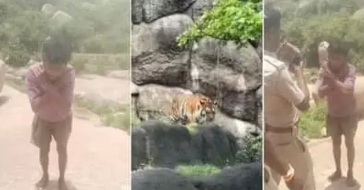 Youth in Koppala Taluk Uses AI to Fake Tiger Sighting to Skip Farm Work, Penalized by Forest Officials